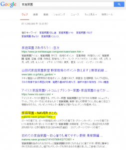 google 家庭菜園まとめ